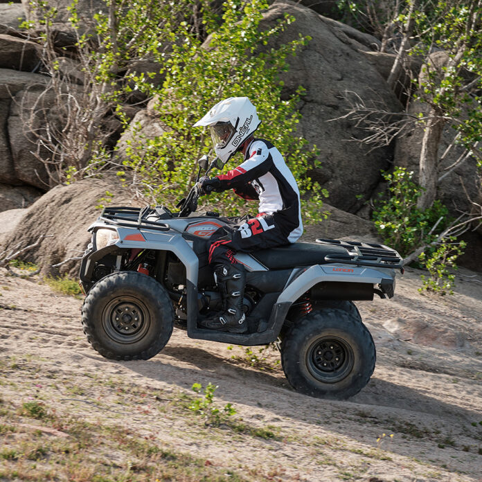 Loncin_Xwolf 300 (24)