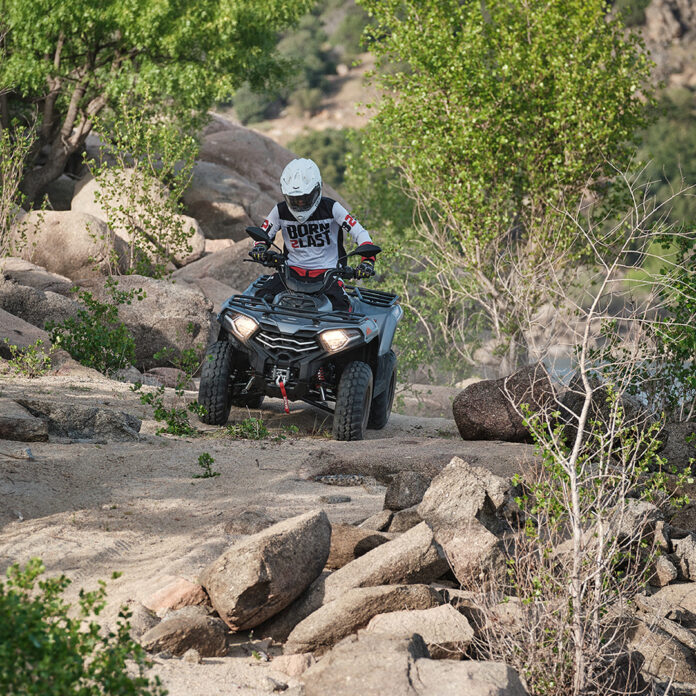 Loncin_Xwolf 300 (25)