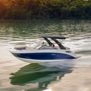 Sea Ray SDX 250
