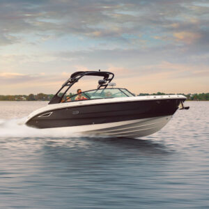 Sea Ray SDX 270