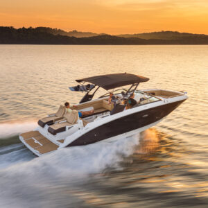 Sea Ray SDX 290